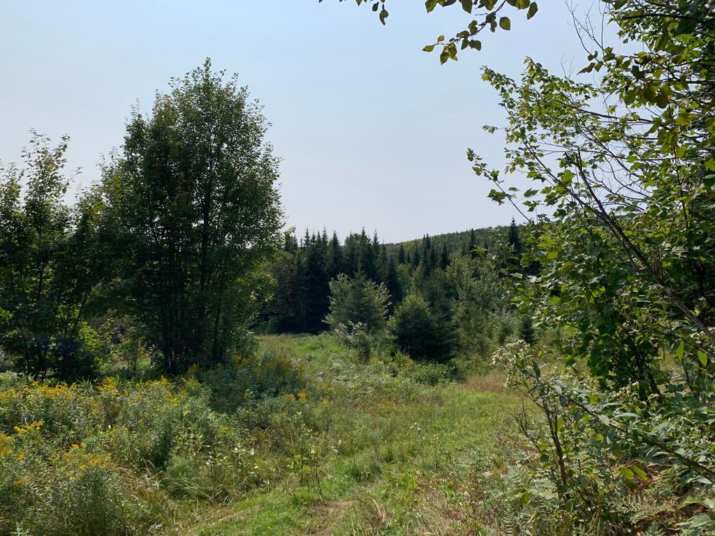 Photo of M31&amp;M27 L10,11 &amp; 3, Madawaska, ME 04732 (MLS # 1649694)