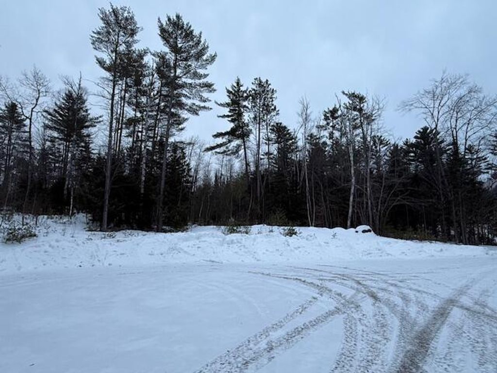 Photo of 6 Forest Drive, Albany Twp, ME 04217 (MLS # 1653988)