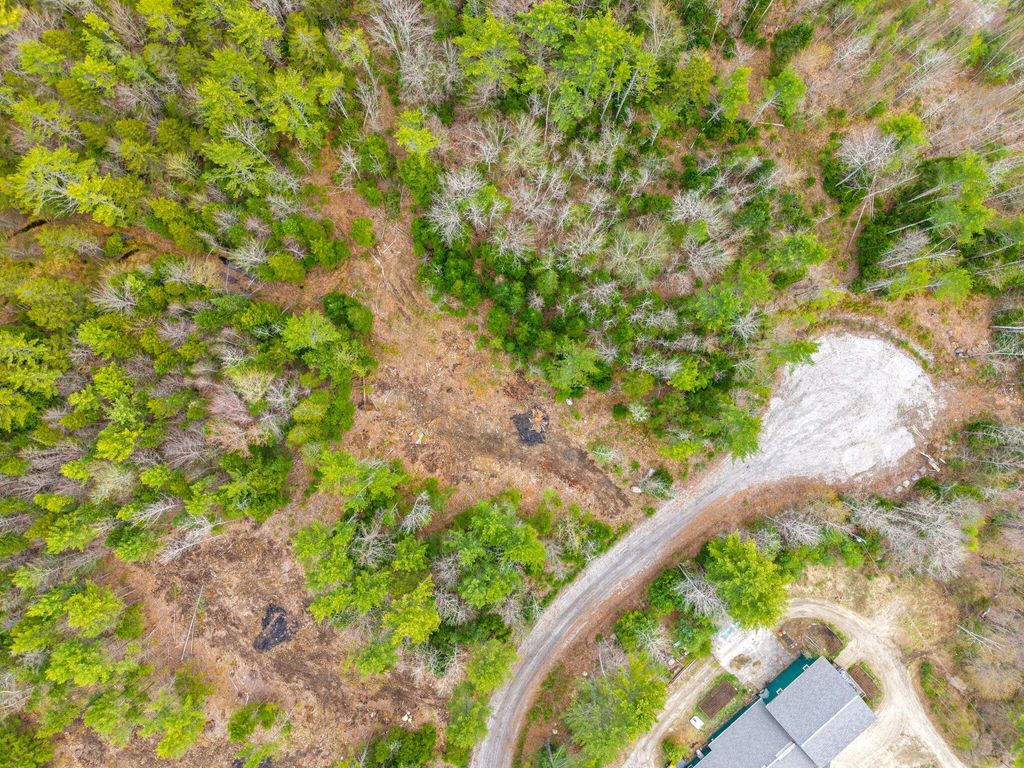 Photo of 6 Forest Drive, Albany Twp, ME 04217 (MLS # 1653988)