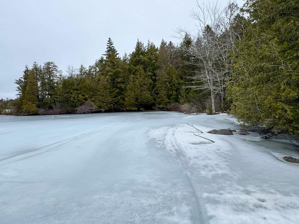 Photo of X Smith Cove Road, Cathance Twp, ME 04657 (MLS # 1657100)