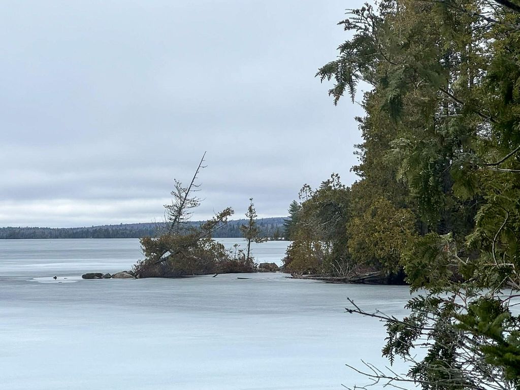 Photo of X Smith Cove Road, Cathance Twp, ME 04657 (MLS # 1657100)