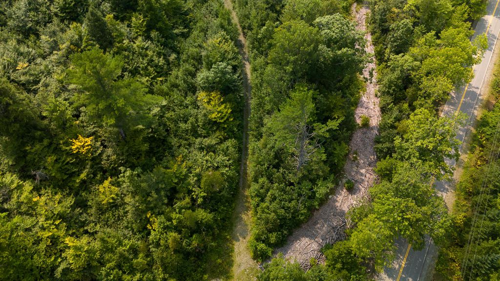 Photo of Lot8 Bear Brook Subdivision, Sebec, ME 04481 (MLS # 1648852)