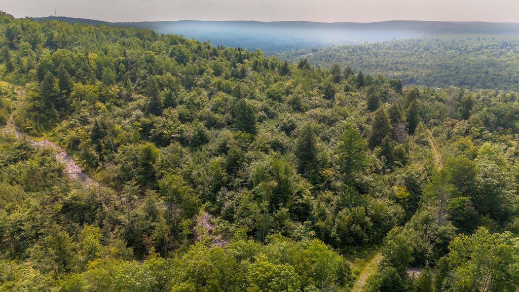 Photo of Lot8 Bear Brook Subdivision, Sebec, ME 04481 (MLS # 1648852)