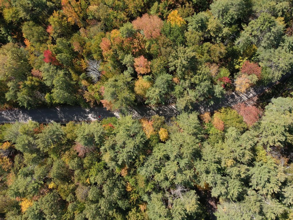 Photo of Map5 Lot39 Hardwood Lane, Fairfield, ME 04937 (MLS # 1639489)