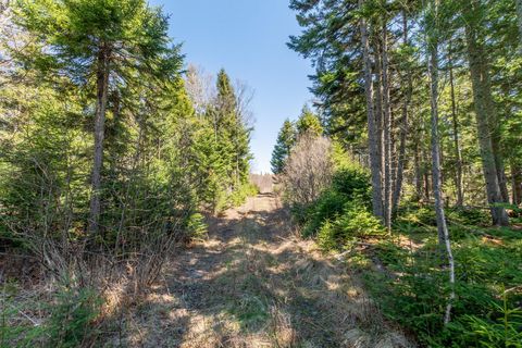 Photo of 840 Cutler Rd. Road, Machiasport, ME 04655 (MLS # 1661434)