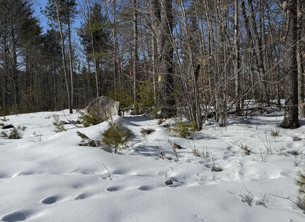 Photo of 299 Intervale Road, Jay, ME 04239 (MLS # 1652027)