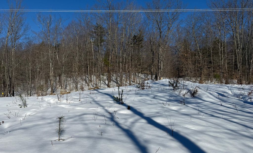 Photo of 299 Intervale Road, Jay, ME 04239 (MLS # 1652027)
