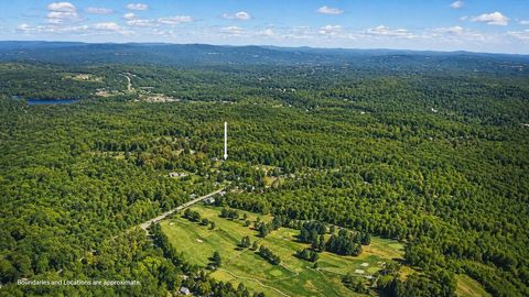 Photo of 0 Strout Road, Poland, ME 04274 (MLS # 1662536)