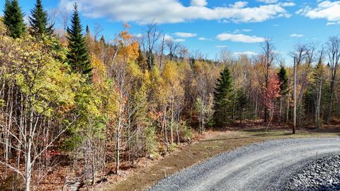 Photo of Lot 12 Blair Hill Road, Greenville, ME 04441 (MLS # 1641313)