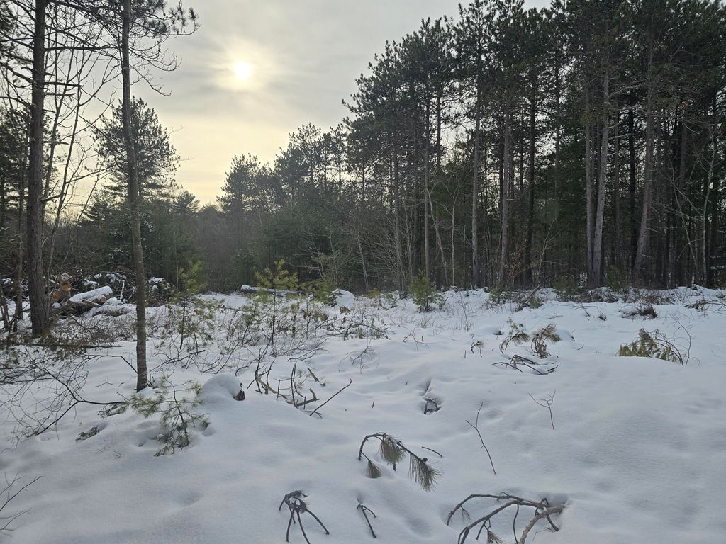 Photo of 0 Victory Lane, Phippsburg, ME 04562 (MLS # 1649032)