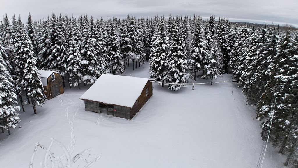 Photo of 929 Access Highway, Limestone, ME 04750 (MLS # 1647552)