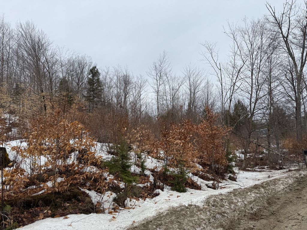 Photo of Buckfield, ME 04220 (MLS # 1654358)