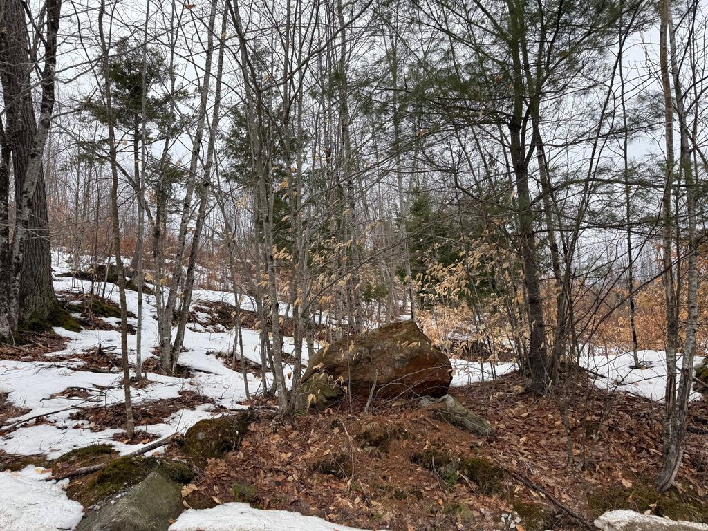 Photo of Buckfield, ME 04220 (MLS # 1654358)