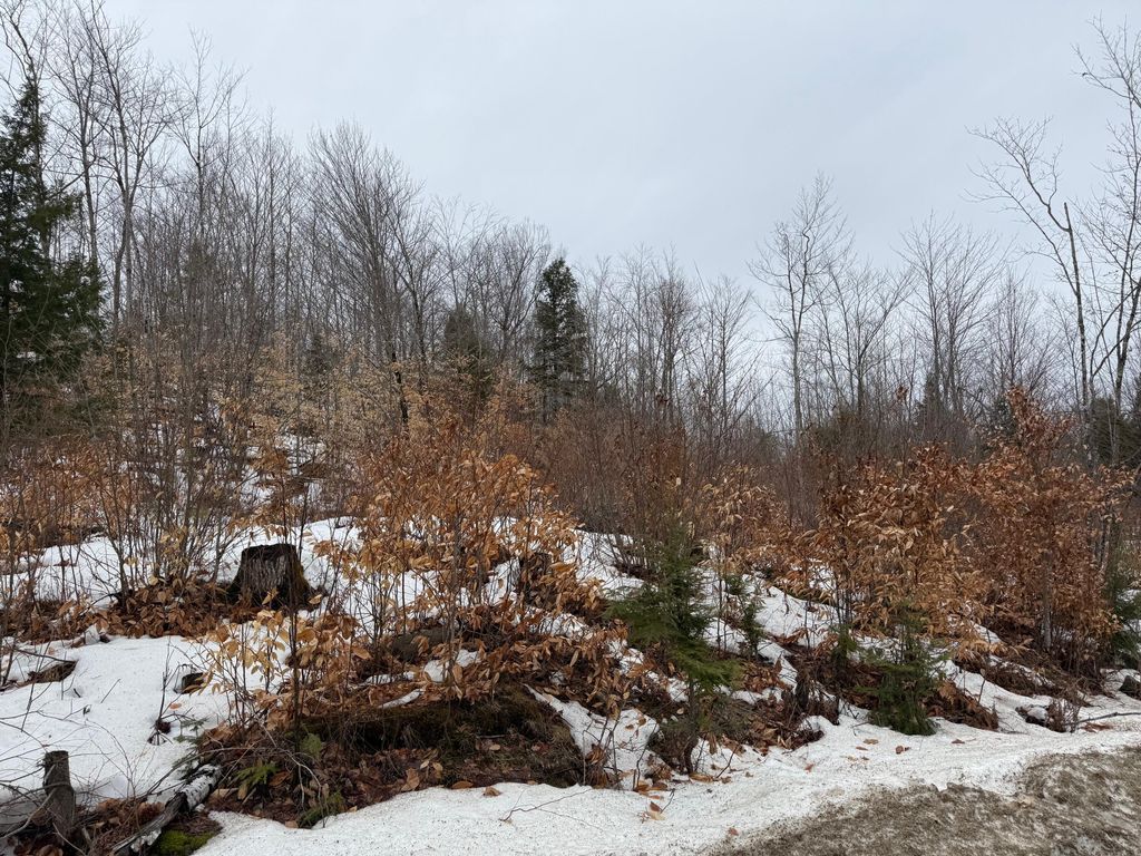 Photo of Buckfield, ME 04220 (MLS # 1654358)