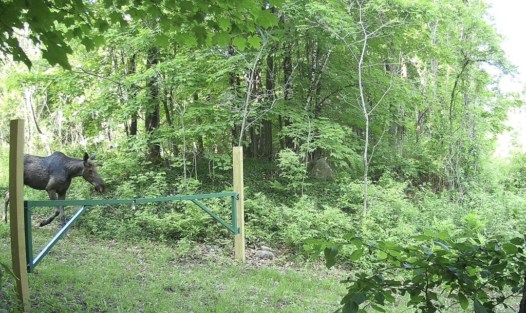 Photo of 012-002 West Mill Road, Anson, ME 04911 (MLS # 1655828)