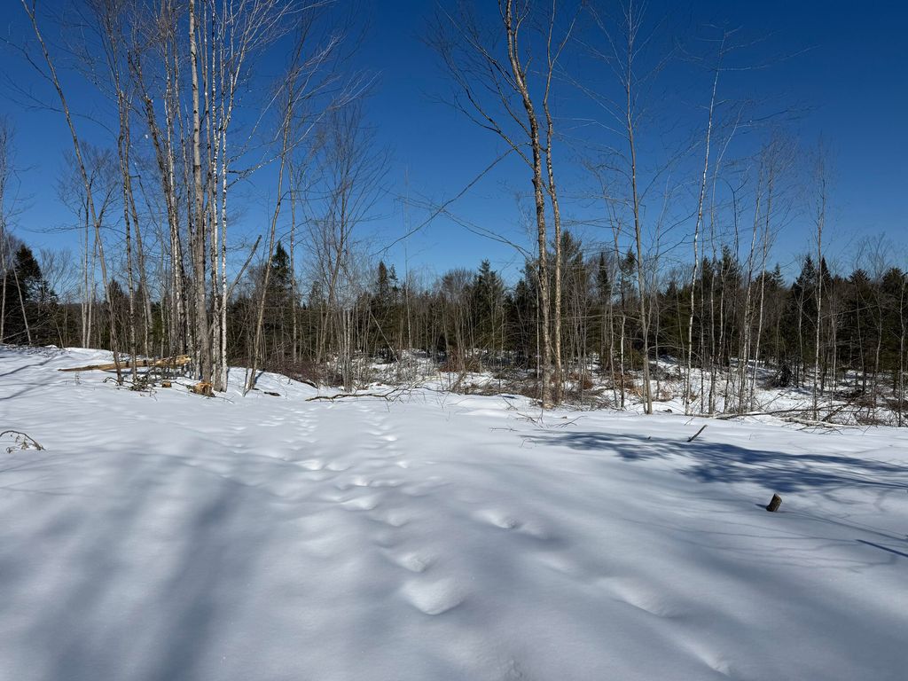 Photo of M 2 - L 1 Off Bean Road, Mercer, ME 04957 (MLS # 1652435)