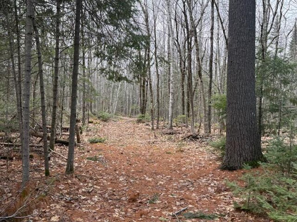 Photo of Map 1 L2 Union Street, Glenburn, ME 04401 (MLS # 1658521)