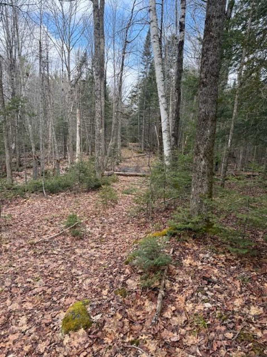 Photo of Map 1 L2 Union Street, Glenburn, ME 04401 (MLS # 1658521)