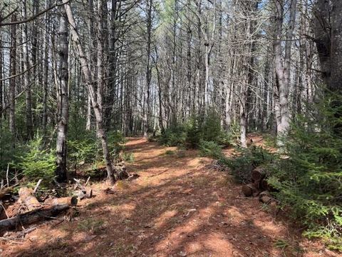 Photo of Map 1 L2 Union Street, Glenburn, ME 04401 (MLS # 1658521)