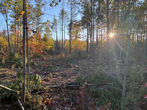 Photo of Lot 16 (1) Whittier Road, Farmington, ME 04938 (MLS # 1656943)