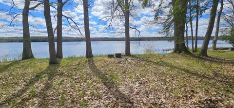 Photo of 21 N Vigue Shore Road, Albion, ME 04910 (MLS # 1661802)