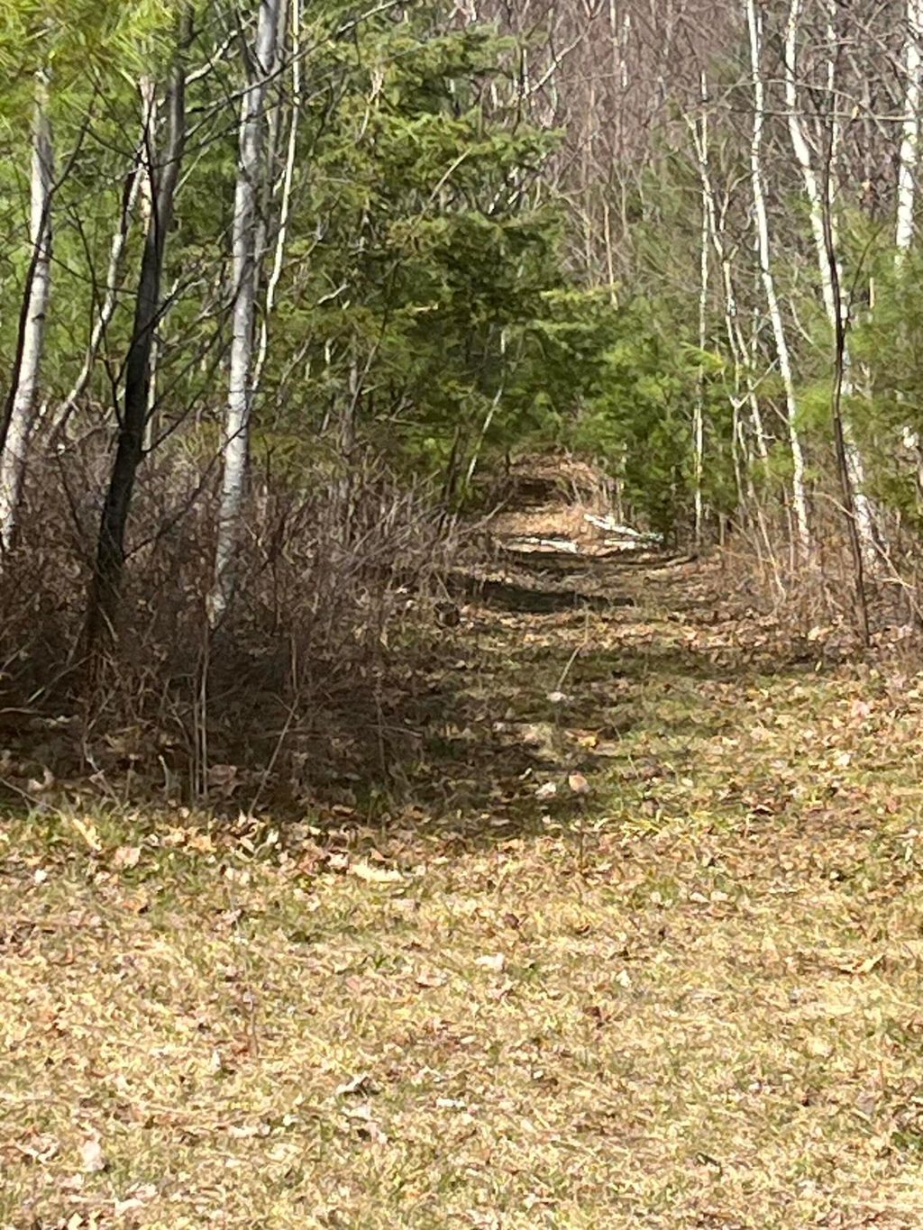 Photo of M2L68 Cards Ridge Road, Greenbush, ME 04418 (MLS # 1659668)