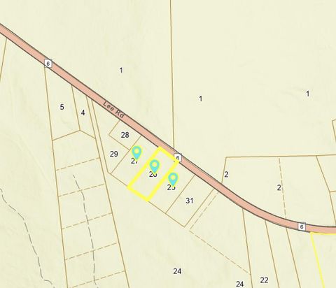 Photo of 1363 Lee Road, Lincoln, ME 04457 (MLS # 1650991)