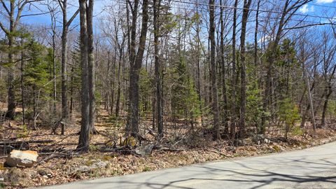 Photo of 30/039 Sunset Road, Dedham, ME 04429 (MLS # 1659452)