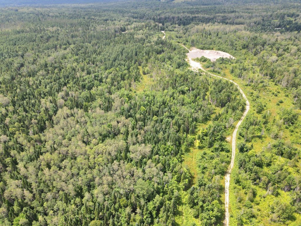 Photo of Lot 43.12 Jemptland Road, Connor Twp, ME 04736 (MLS # 1651393)