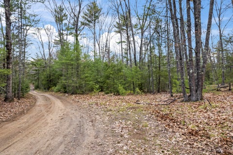 Photo of 0 Taylor Road, Wells, ME 04090 (MLS # 1662728)