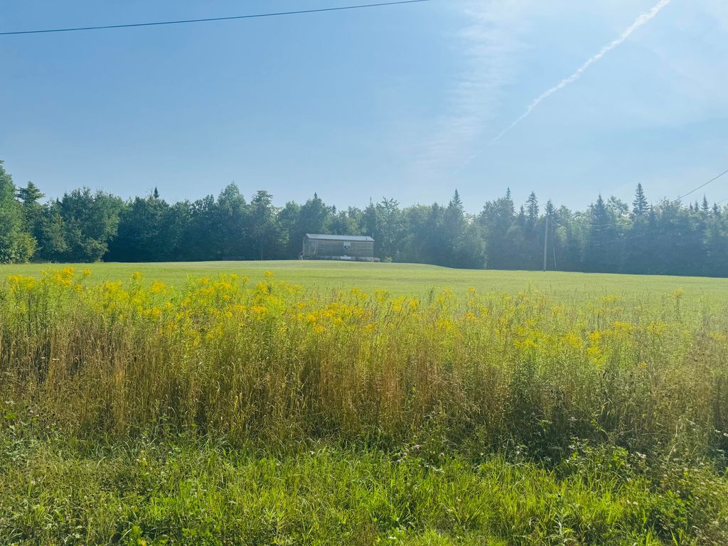 Photo of 29 Salmon Lake Road, Perham, ME 04766 (MLS # 1634960)