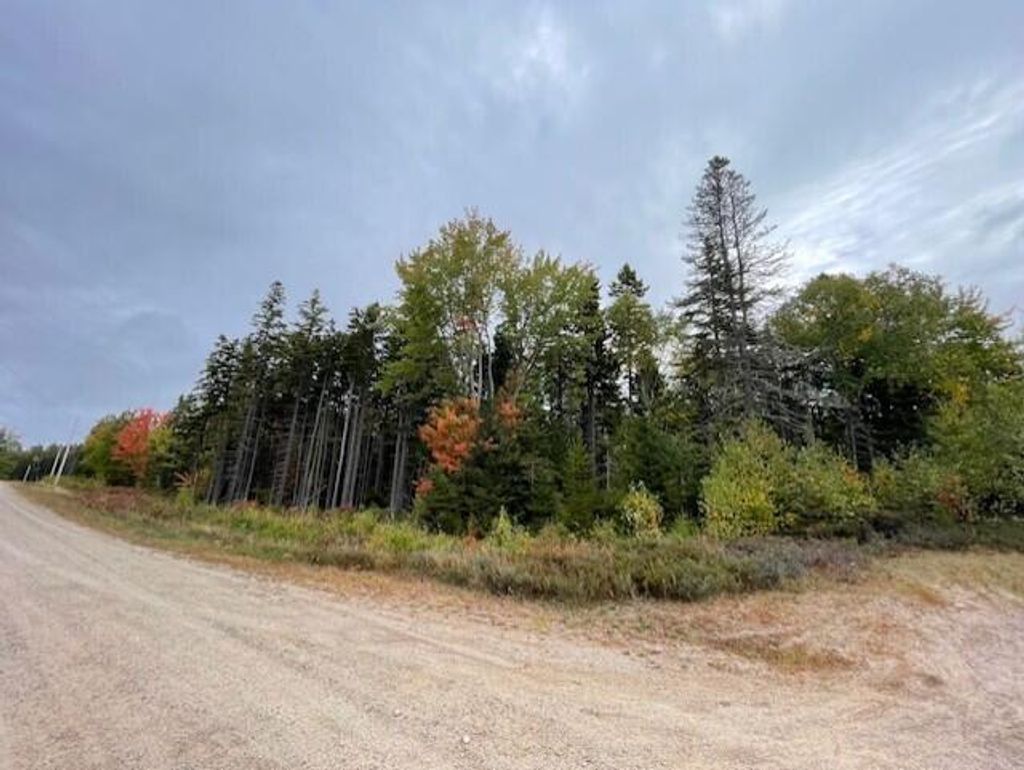 Photo of Lot #17-34 Dolly Head Estates Road, Steuben, ME 04680 (MLS # 1640188)