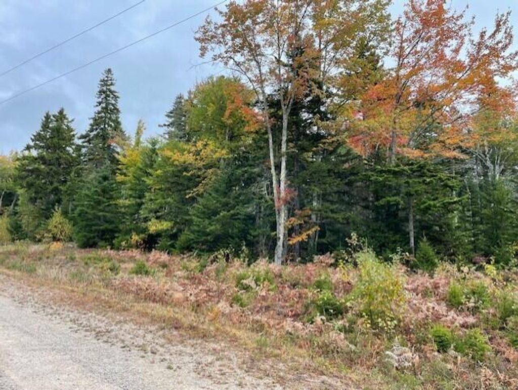 Photo of Lot #17-34 Dolly Head Estates Road, Steuben, ME 04680 (MLS # 1640188)