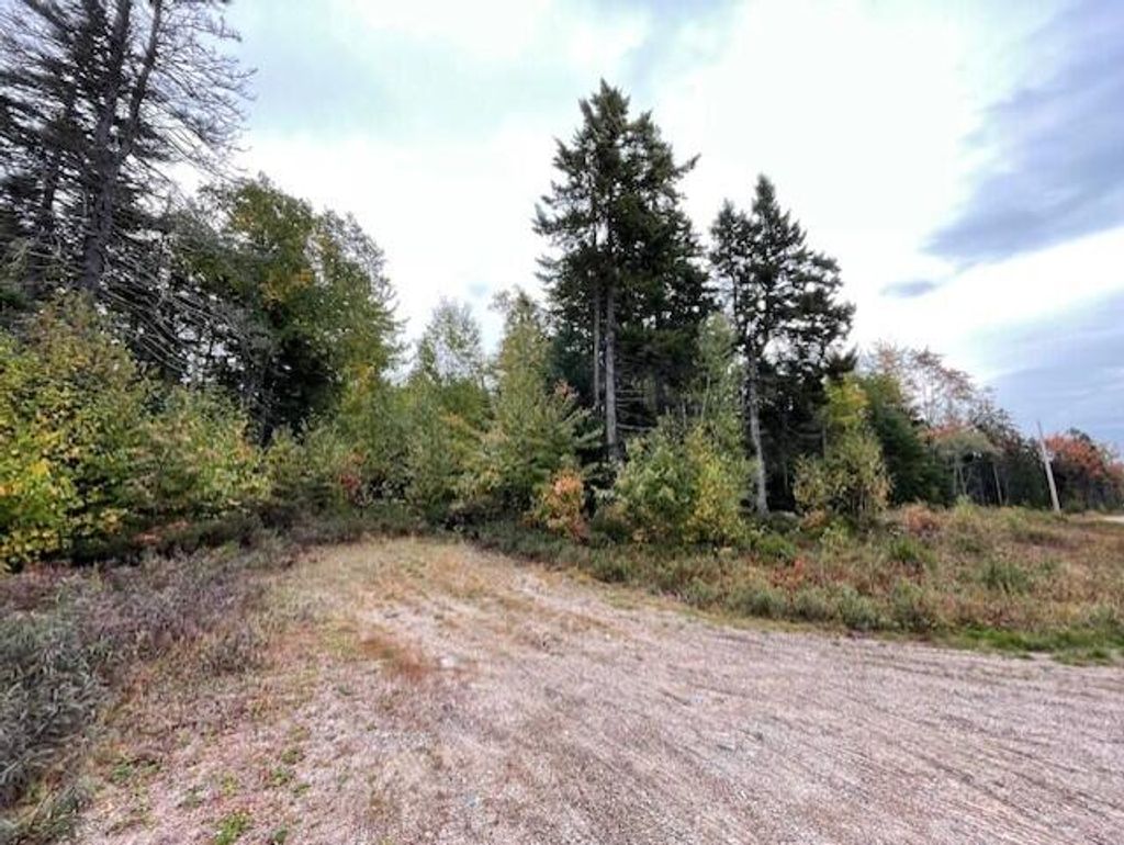 Photo of Lot #17-34 Dolly Head Estates Road, Steuben, ME 04680 (MLS # 1640188)