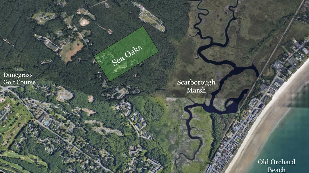 Sea Oaks Arial View