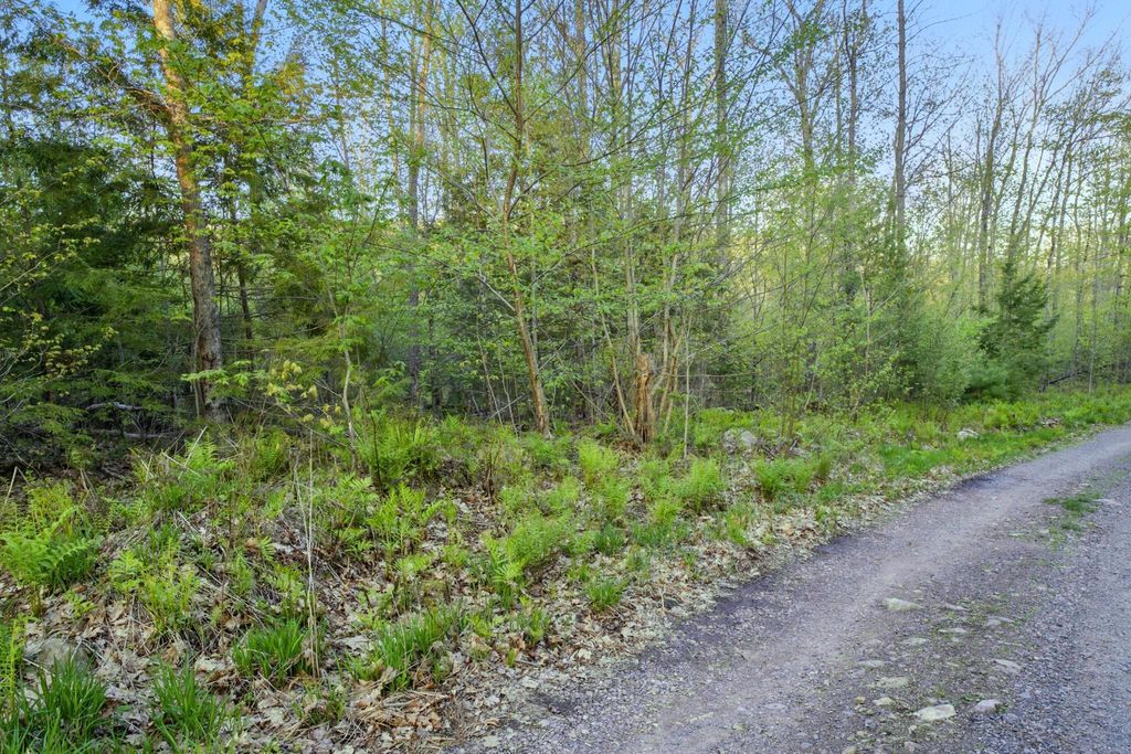 Photo of 23, 24 Cottage Shore Drive, Holden, ME 04429 (MLS # 1656151)