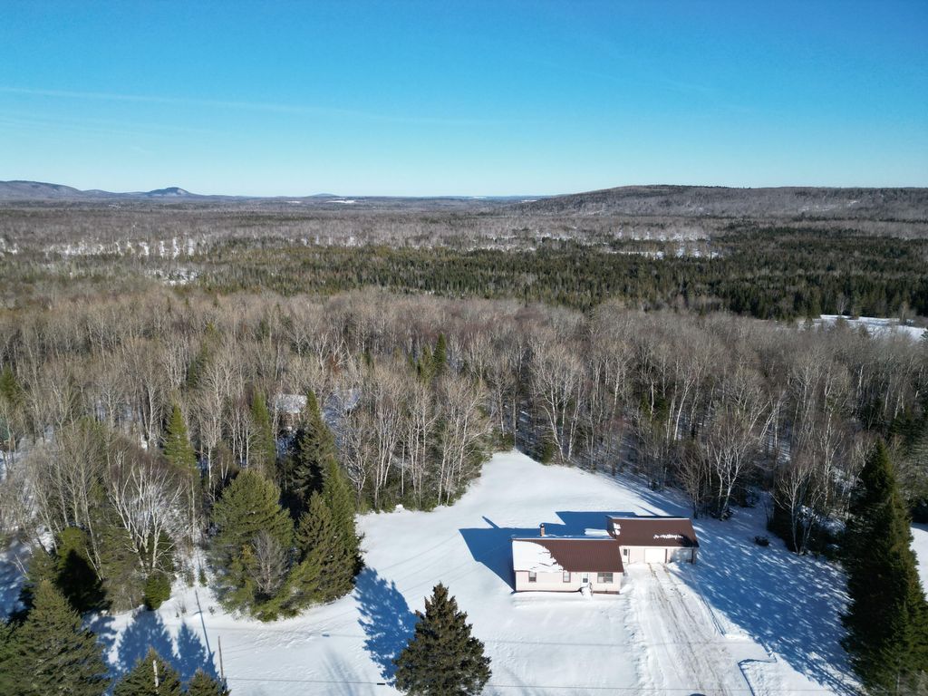 Photo of 919 Shin Pond Road, Mount Chase, ME 04765 (MLS # 1653971)