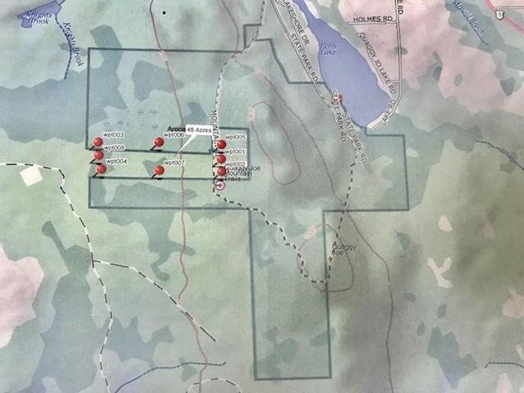 Photo of 95 Mountain Road, Presque Isle, ME 04769 (MLS # 1656088)