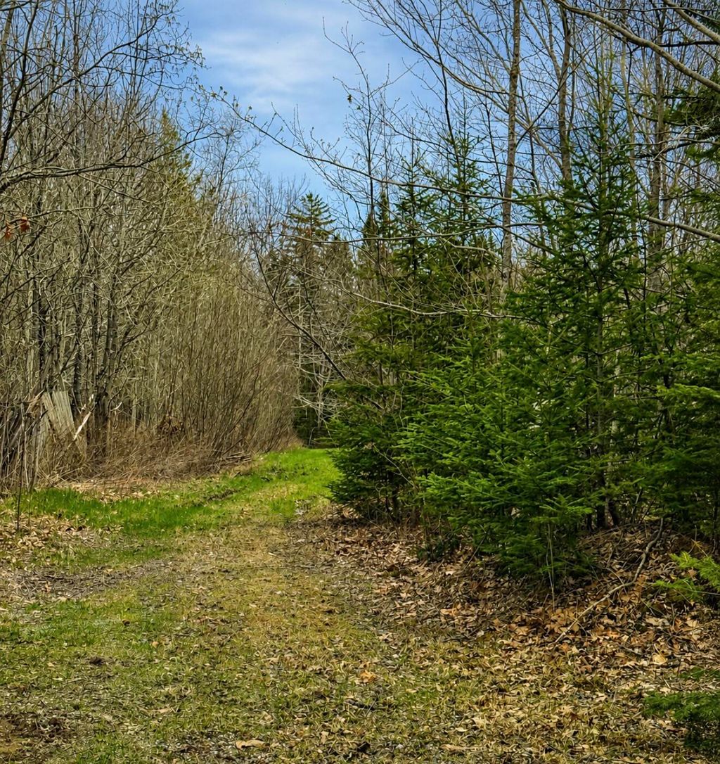 Photo of 00 Kinstone Lane, Trenton, ME 04605 (MLS # 1660495)