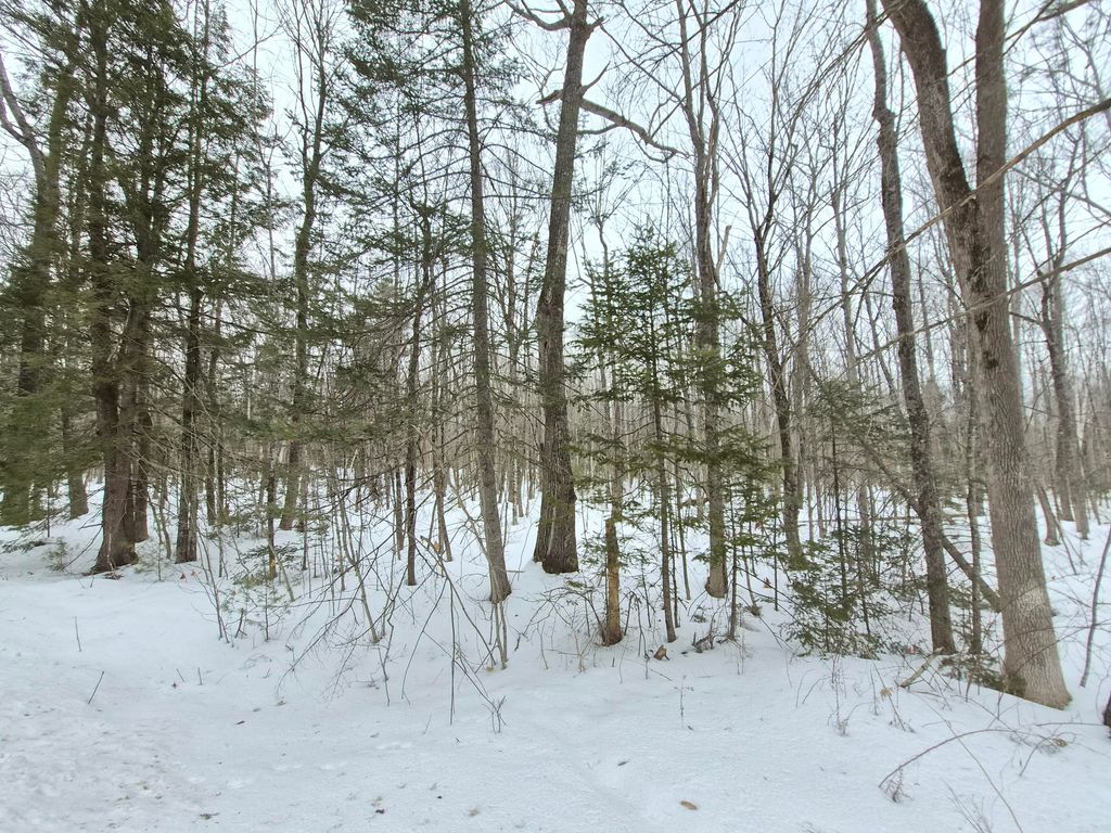 Photo of M14 L39 Sandy Point Road, Vassalboro, ME 04989 (MLS # 1654549)