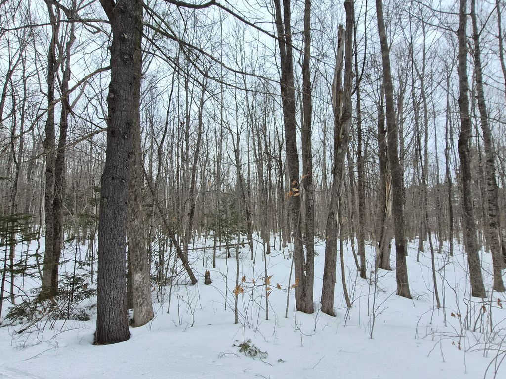 Photo of M14 L39 Sandy Point Road, Vassalboro, ME 04989 (MLS # 1654549)