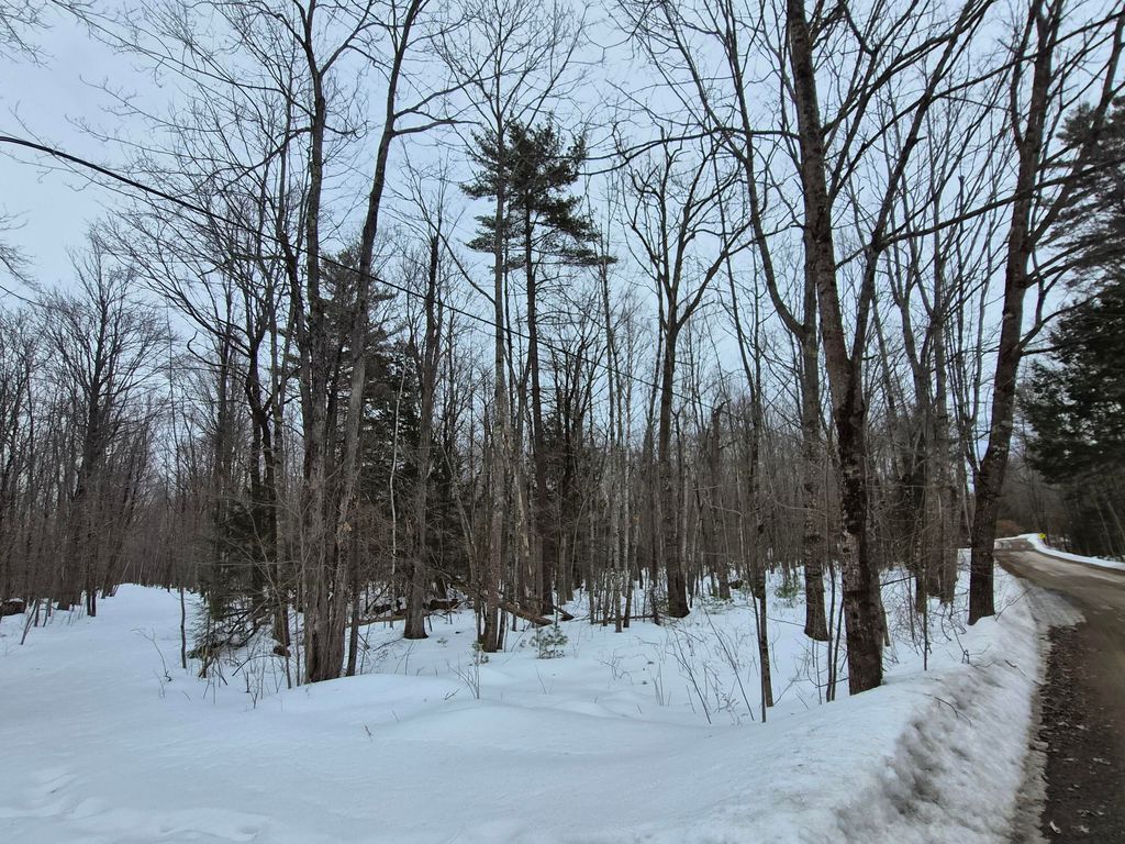 Photo of M14 L39 Sandy Point Road, Vassalboro, ME 04989 (MLS # 1654549)