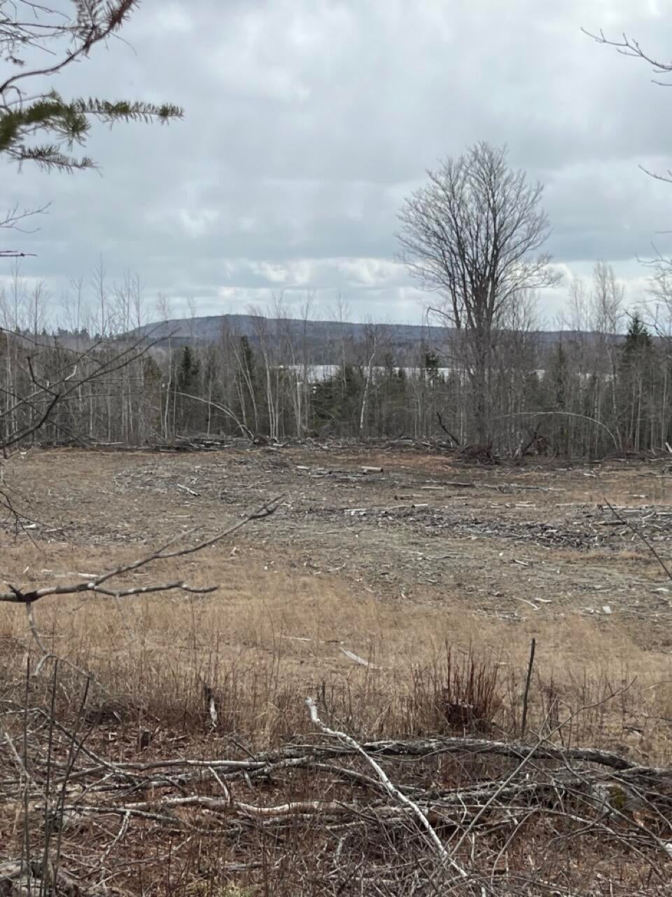 Photo of M3L32,33 Rt 6 Highway, Carroll Plt, ME 04487 (MLS # 1661392)