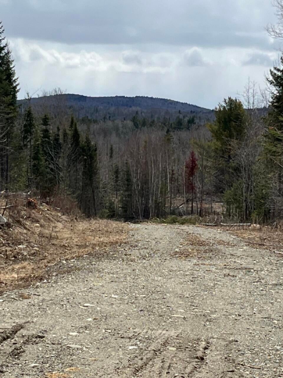 Photo of M3L32,33 Rt 6 Highway, Carroll Plt, ME 04487 (MLS # 1661392)