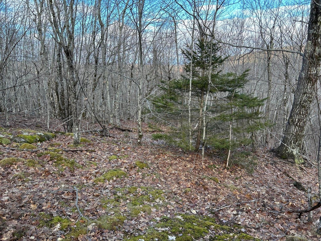 Photo of Map8Lot6 CMP, Prospect, ME 04981 (MLS # 1657500)