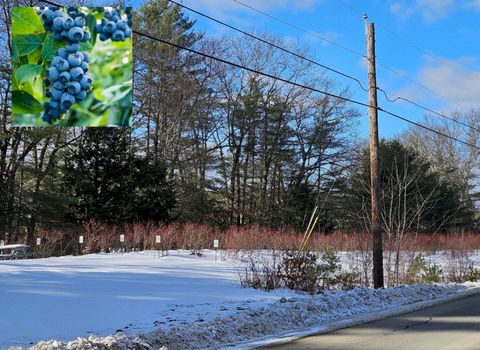 Photo of TBD East River Road, Skowhegan, ME 04976 (MLS # 1651324)