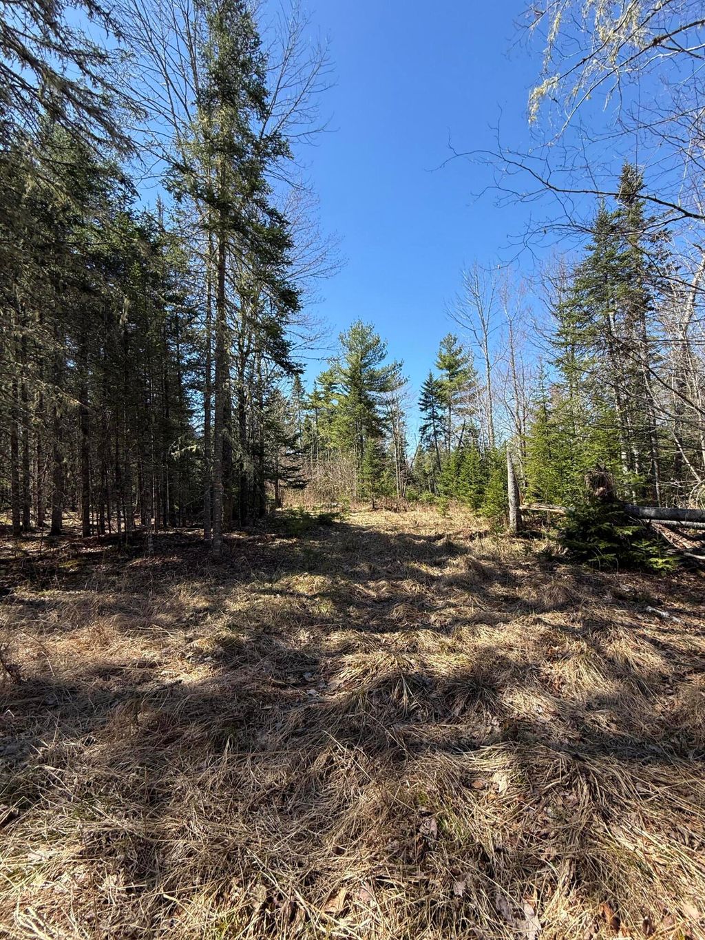 Photo of Lot 016-01 142 Old Fisher Rd Road, Holden, ME 04429 (MLS # 1659785)