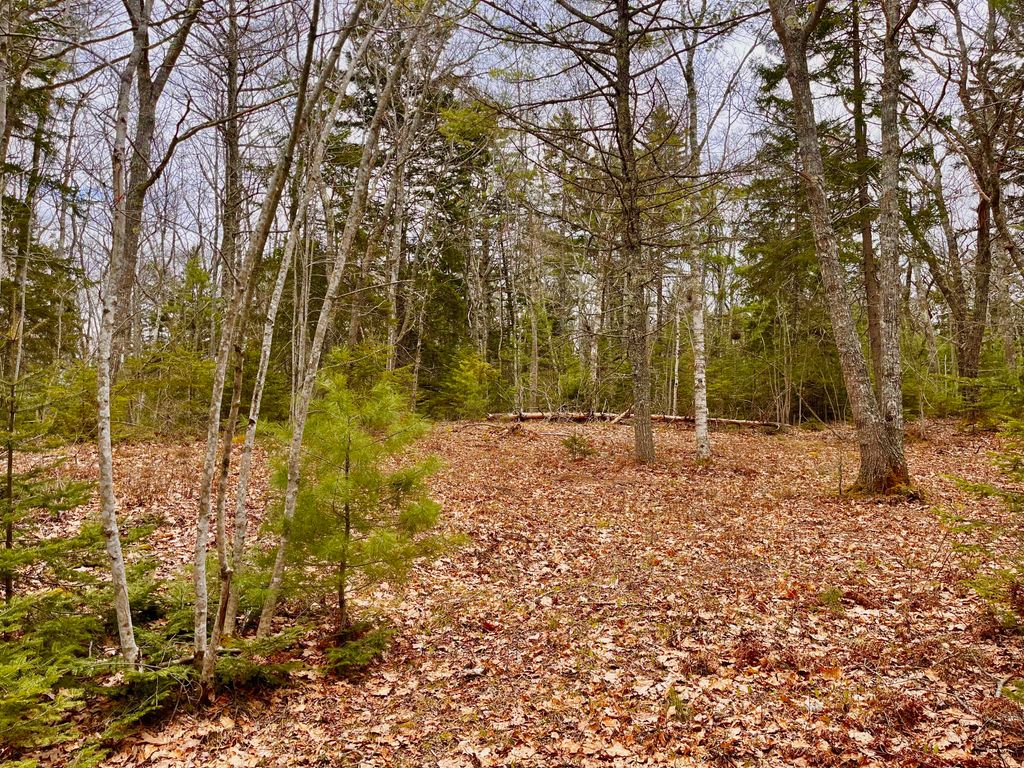 Photo of 92L Russell Road, Bristol, ME 04541 (MLS # 1661560)