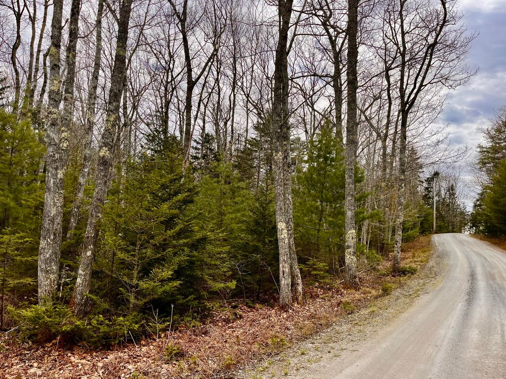 Photo of 92L Russell Road, Bristol, ME 04541 (MLS # 1661560)
