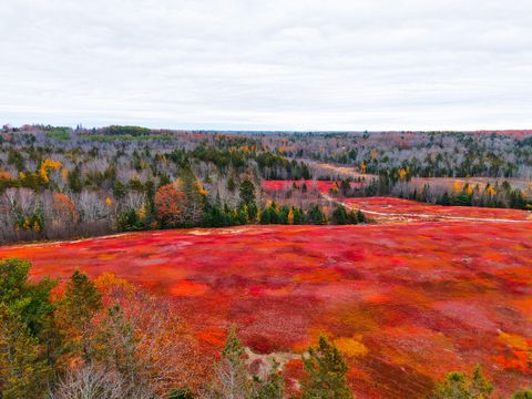 Photo of MAP31LOT29 Land-Perkins, Blue Hill, ME 04614 (MLS # 1646520)